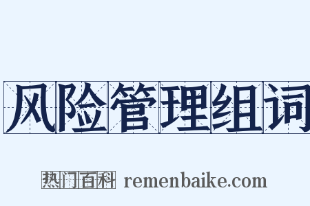 风险管理组词是什么意思的图片